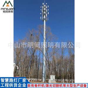 厂家直销供应5G通信塔加工各规格单管信号塔基站移动电信通信杆