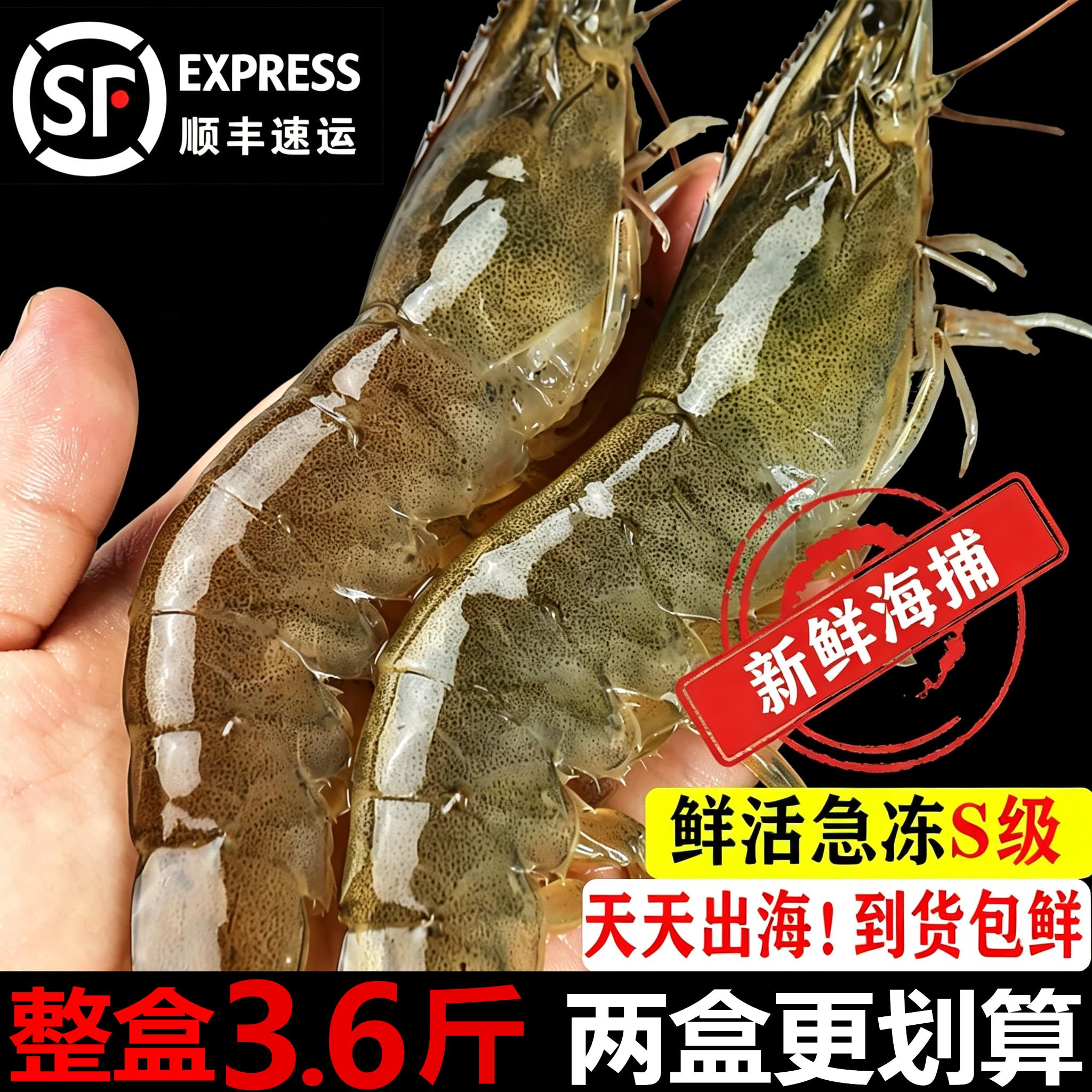 大虾鲜活速冻超大特大青虾海鲜连云港海岛新鲜海捕基围虾白虾对虾