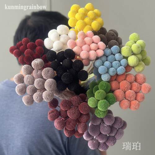 永生花金槌花黄金球 漂白黄金球花束干花保鲜花diy花材家居装饰
