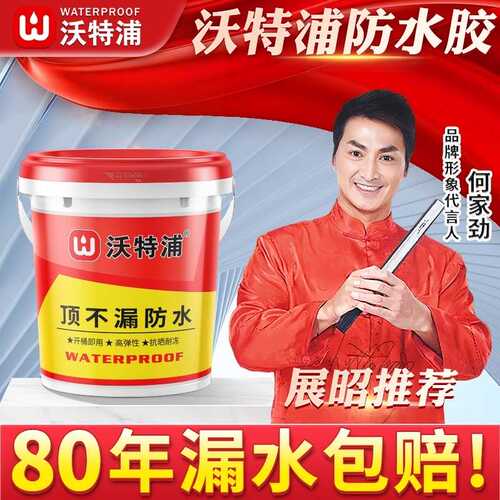 防水涂料屋顶裂缝补漏材料房顶平房漏水屋面楼顶防漏胶