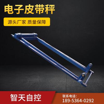 专业供应定量秤ICS-20B-1200电子皮带秤 自动配料调速计量称