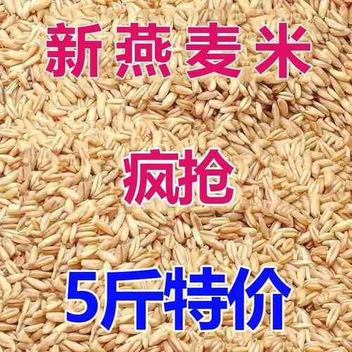 【5斤特价】东北新鲜燕麦米燕麦仁燕麦雀麦粒燕麦粒燕麦杂粮