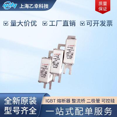 巴斯曼熔断器 170M1740 170M1741 170M1742 170M1750 170M1751