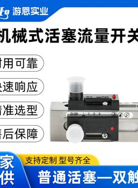机械式活塞流量开关普通活塞双触点水流传感器开关信号厂家现货