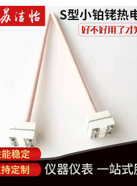 S型小铂铑热电偶 刚玉管小铂铑热电偶 铂铑热电偶WRP-100型铠装