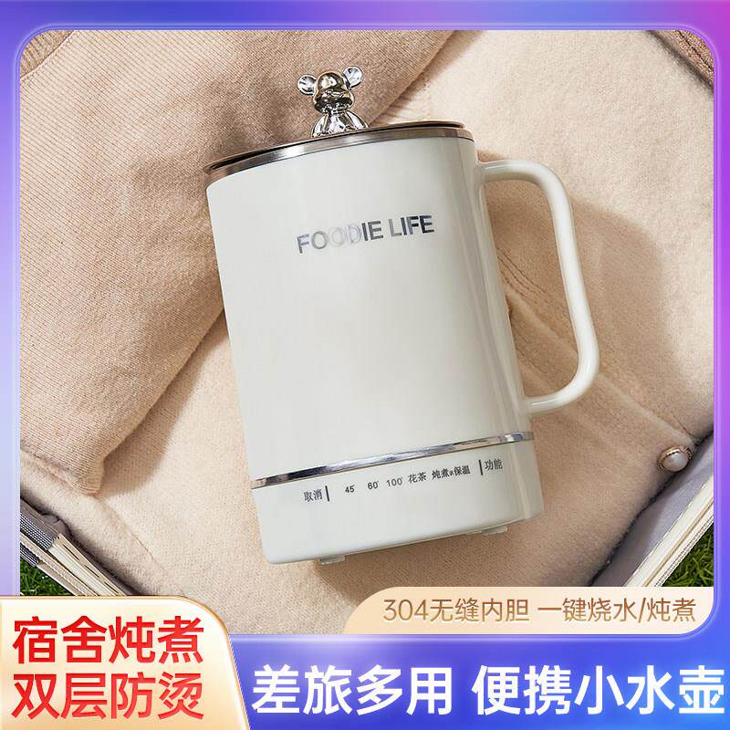 迷你电热杯电煮杯不锈钢烧水杯煮面杯热牛奶电炖杯小型可携式旅行
