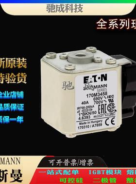 巴斯曼170M3458 170M3459 170M3460 原装进口直销价优 快熔保险丝