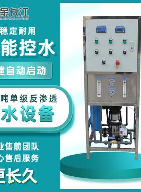0.25吨单级反渗透设备小型净水机器食品饮料酒水加工生产净水用水