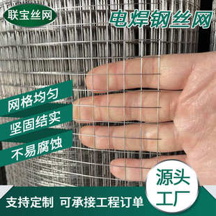 热镀锌电焊网砌墙粉墙烟道加固钢丝网建筑屋顶粉刷抹灰焊接钢丝网
