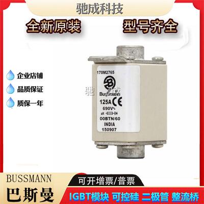 巴斯曼170M2764 170M2765 170M2766 低压保险丝诚信经营货源充足