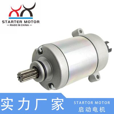 28P-81890-00-0019500电机适用YamahaGrizzly550Kodiak700高性能