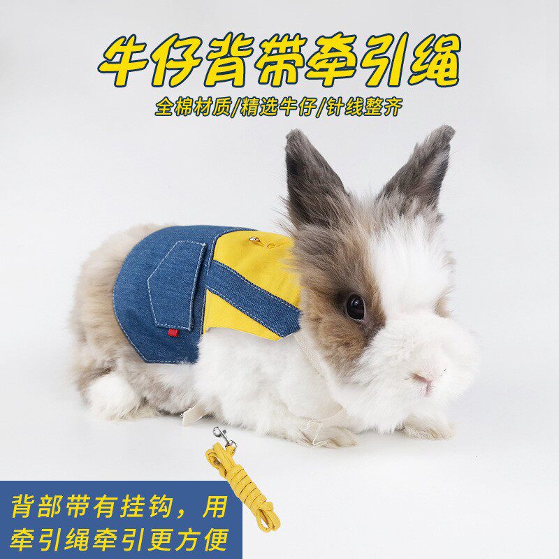 宠物兔子衣服牵引绳兔兔幼猫猫咪垂耳兔装饰品服饰拍照潮流穿搭