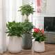 北欧商简约塑料自吸水花盆场厅家客装 03绿植居盆栽厂家蓄水 饰CS