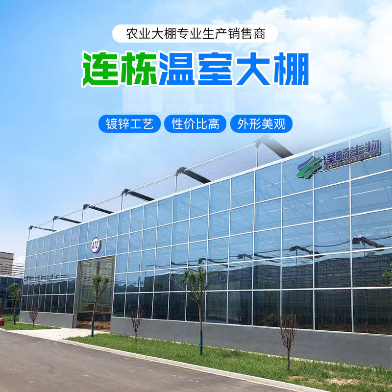承接玻璃连栋温室大棚  造价一站式服务连动薄膜温室建设