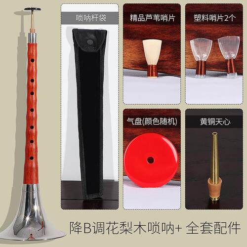 高档唐专正音花木唢呐乐器初梨学者业演奏型专D业唢呐调音小号