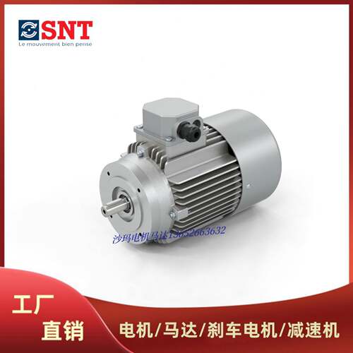 法国SNT电机马达TN DN MN XM系列63 71 80 90 100 112 132 160