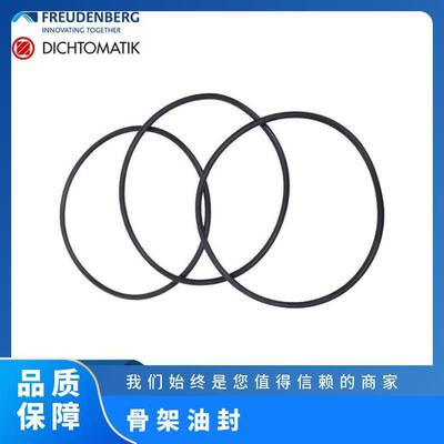 CFW轴封防污染安装维护简单BAUM4X752X68X8NBR