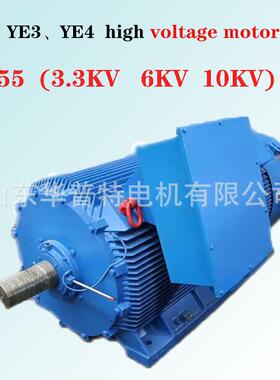高效率电机YE3-400-4/400w，IE3,铸铁机座，V1,50Hz,10000V,