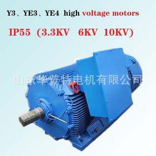 高效率电机YE3-400-4/400w,IE3,铸铁机座,V1,50Hz,10000V,
