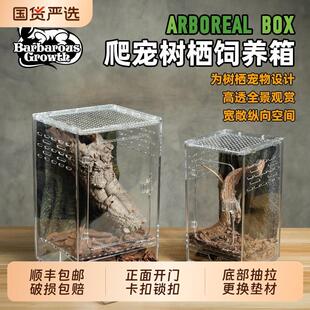 压克力树栖饲养箱生态造景全套爬宠专用缸睫角守宫老爷树蛙饲养盒