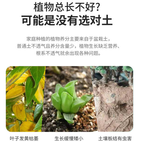 发财树厂家直销代发通用栽培基质