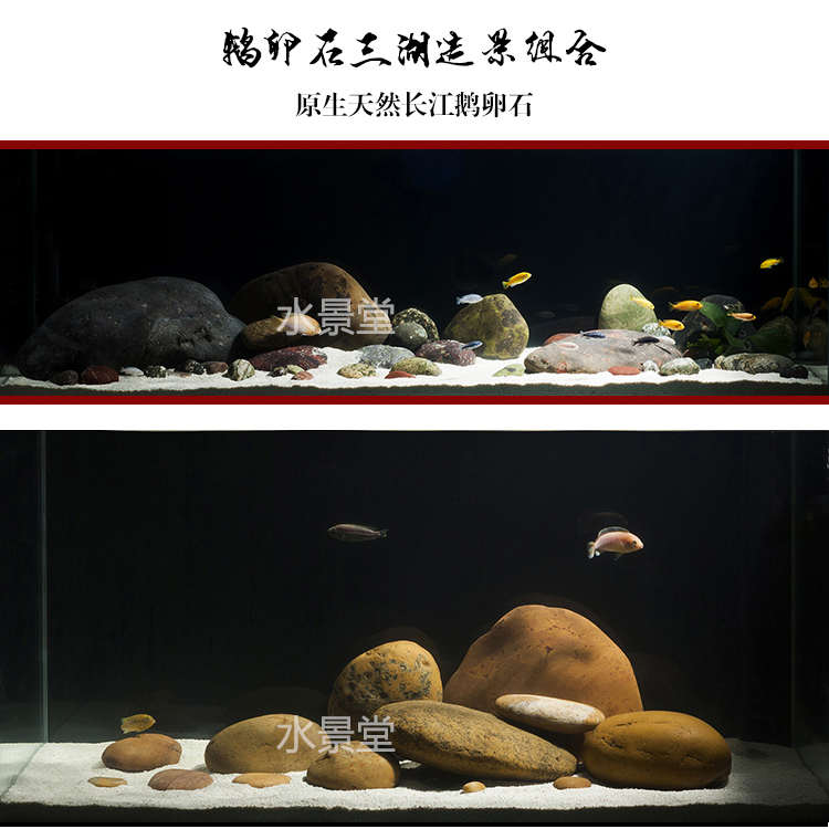 鹅卵石三湖慈鲷鱼缸造景装饰品套餐草坪石子水草鱼缸水族箱