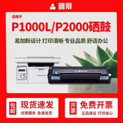 适用奔图PD110硒鼓P2000 1000L 1050 2050 2040 2060 2650 M5100