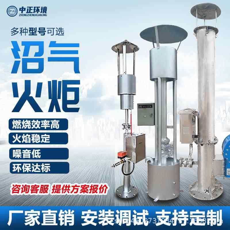 沼气热电肥联产工程火炬燃烧火炬沼气发电工程废气处理设备