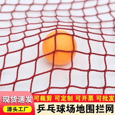 乒乓球乒乓球隔离网隔离网球网网