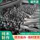 烧烤碳天然机制果木炭无烟无味家用取暖火锅野外户外野炊烧烤竹炭
