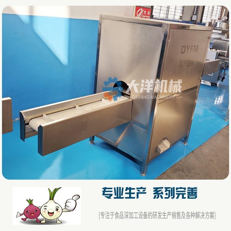 大洋机械洋葱切根机输送式圆葱切两头设备不锈钢球葱切头切尾机器