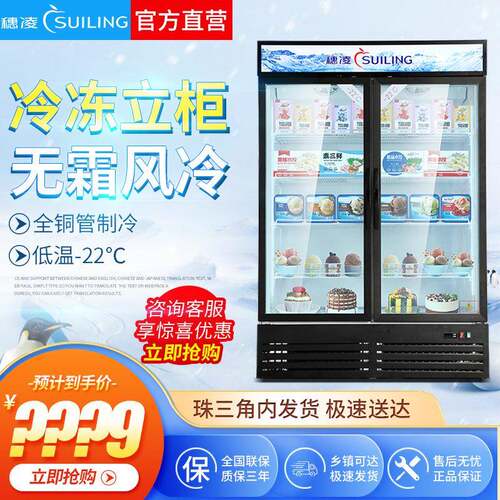 LD-1040M2W立式展示柜商用超市速冻柜冷藏饮料低温冷冻啤酒柜