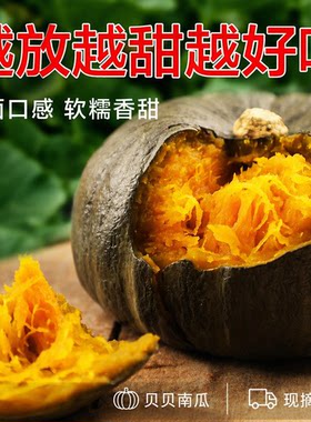 贝贝南瓜新鲜板栗味粉糯香甜