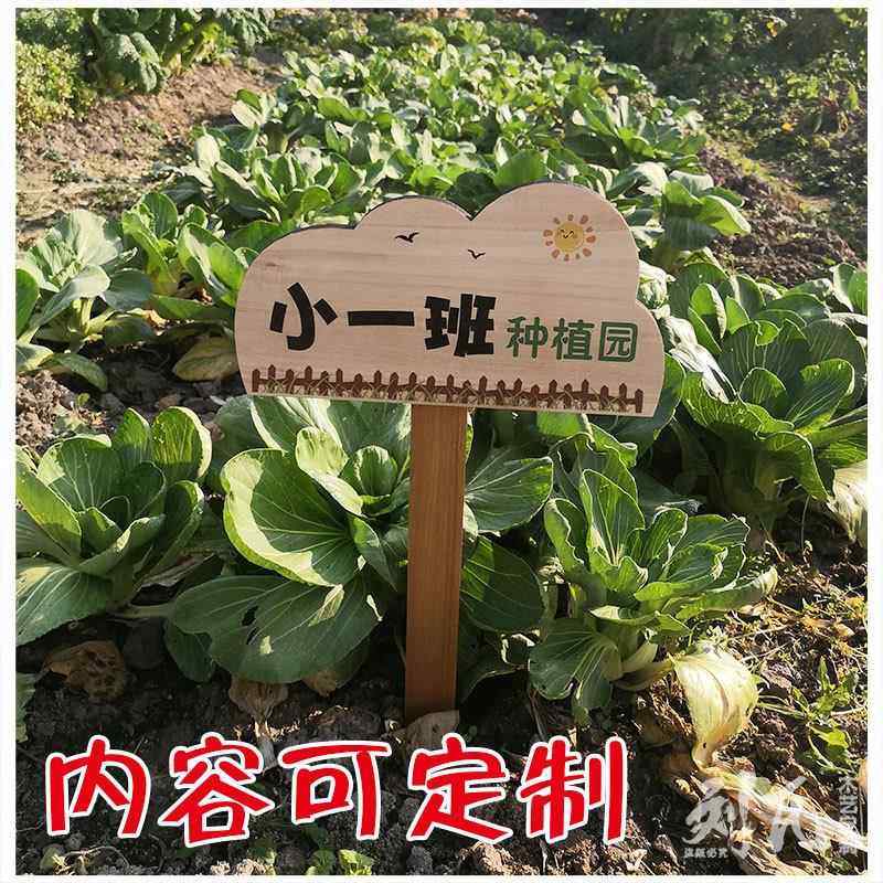 创意实木户外幼儿园班级小菜园牌学校种植园艺植物插地标签牌