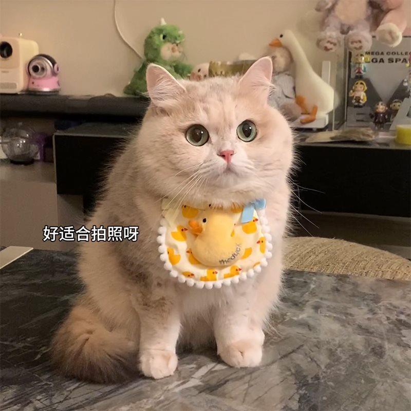 猫咪项圈小猫围脖宠物围兜小狗口水巾饰品可爱围脖猫猫围兜口水兜
