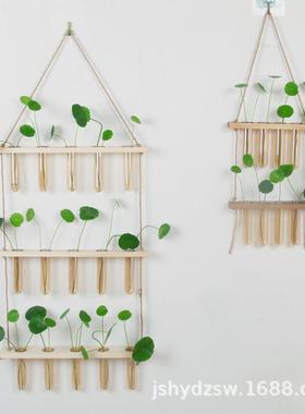 ins创意水培植物壁挂玻璃花瓶 绿萝小吊瓶小清新墙面挂饰