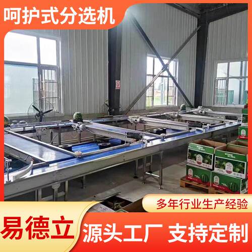 厂家直销秋月梨哈密瓜分选机水果无损选果机草莓榴莲分级机