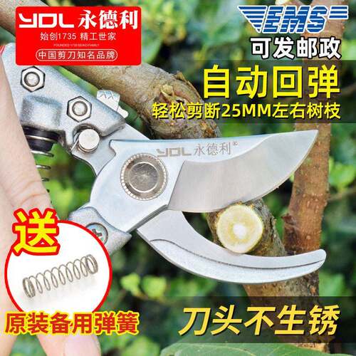 永德利修枝剪刀园艺工具果树花艺修剪树枝园林剪刀省力枝条摘果剪