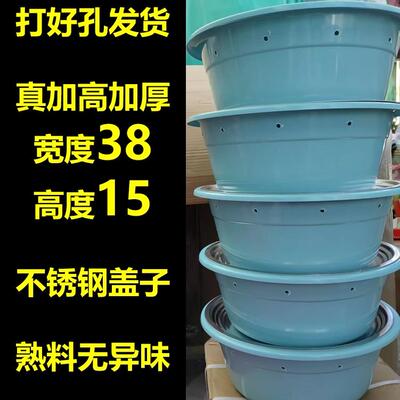 （30套）带盖子加厚加高竹笋虫养殖盆套装象鼻虫竹虫养殖盆免打孔