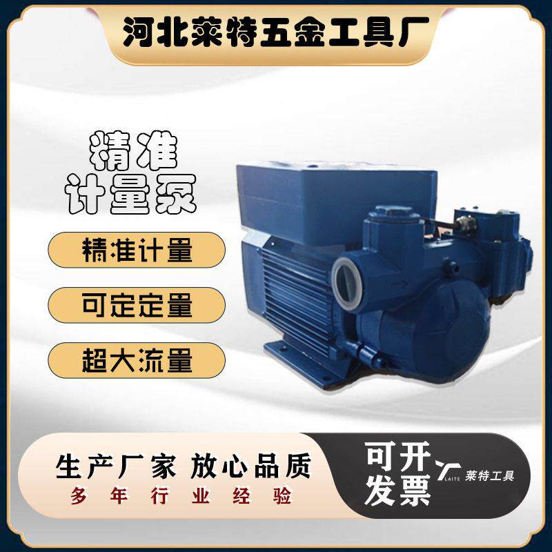 厂家新款智能定量流量计加注机防爆智能定量导油泵汽油加油泵