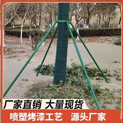 树木支撑架烤漆镀锌钢管园林绿化行道乔木支撑杆大树铁抱箍固定器