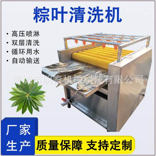 全自动粽叶清洗机箬竹叶苇叶双层毛刷清洗设备粽叶蒸煮杀菌设备