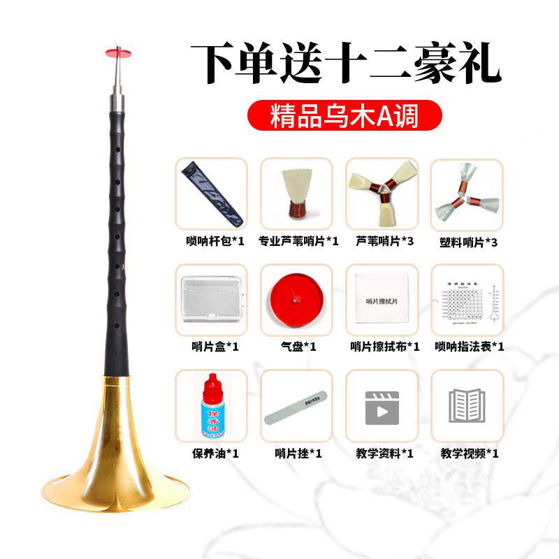 正品专业精品乌木呐初者d唢调降演奏乐器喇叭锁呐哨片B配件学全套