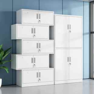 钢制办公文件案铁皮柜资料柜务凭证档柜员工更XDS 0019衣柜储财物