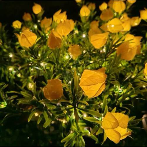 太阳能栀子花氛仿ME5066真花灯L草ED庭院花园装水饰坪灯笼草户外