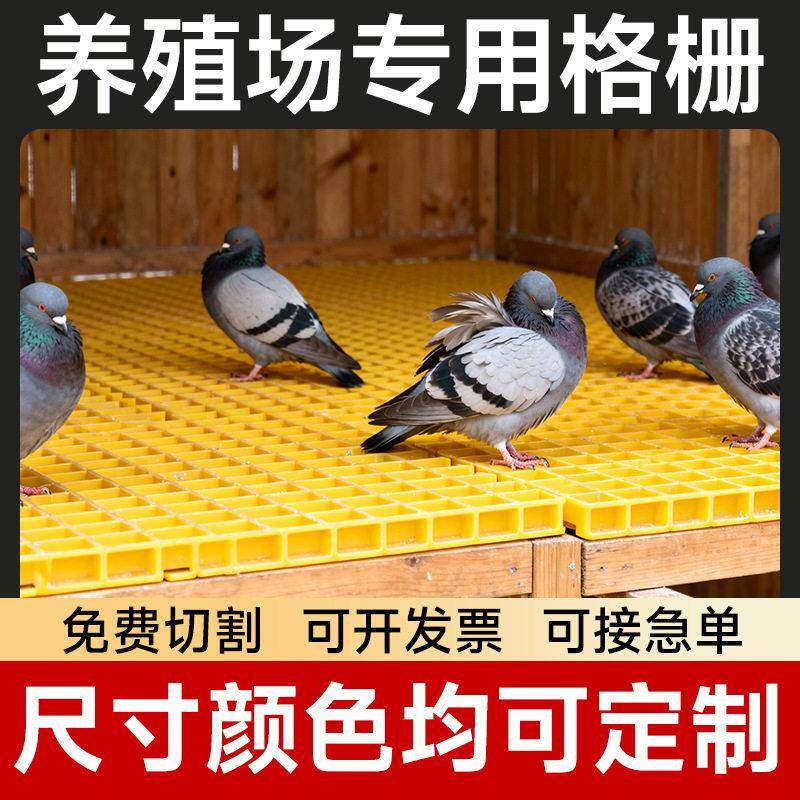 鸽子舍养殖场漏粪格栅盖板玻璃钢格栅洗车房格栅排水盖板定制