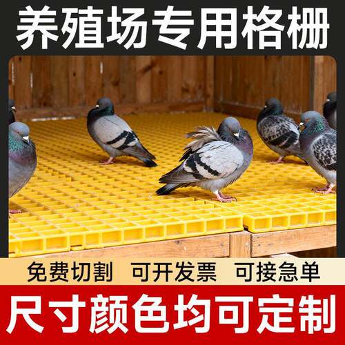 鸽子舍养殖场漏粪格栅盖板玻璃钢格栅洗车房格栅排水盖板定制