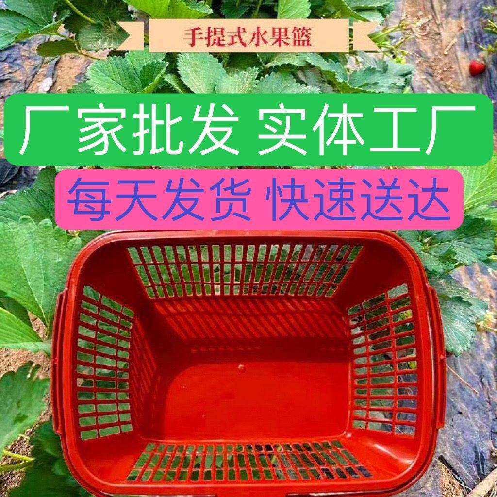 莓篮子采摘篮子厂家直发水果采摘篮子红色樱桃篮子红色赵