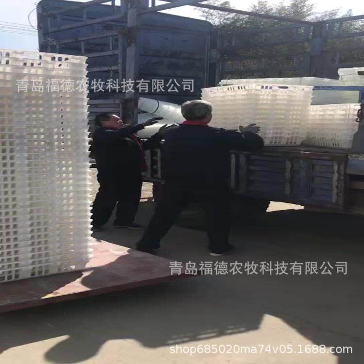 塑料鸡鸭运输笼 装鸡塑料筐鸡用运输筐 加大加厚塑料鸡筐源头厂家