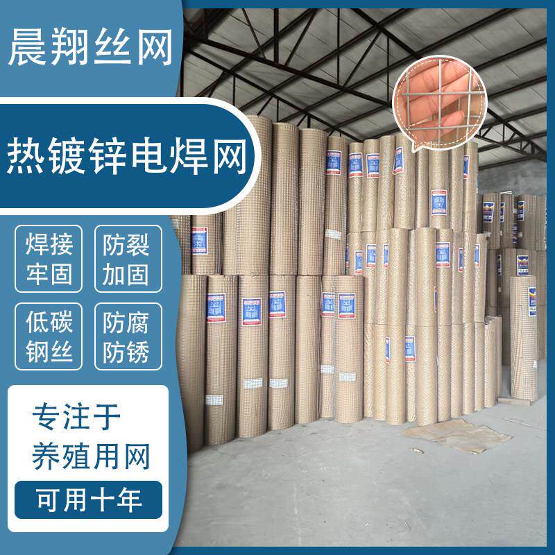 热浸镀锌铁丝网围栏养鸡狗笼电焊网防鼠阳台防护网果园养殖网护栏